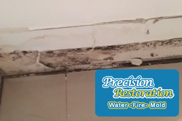 Mold removal in Wantagh